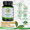 propolis 70